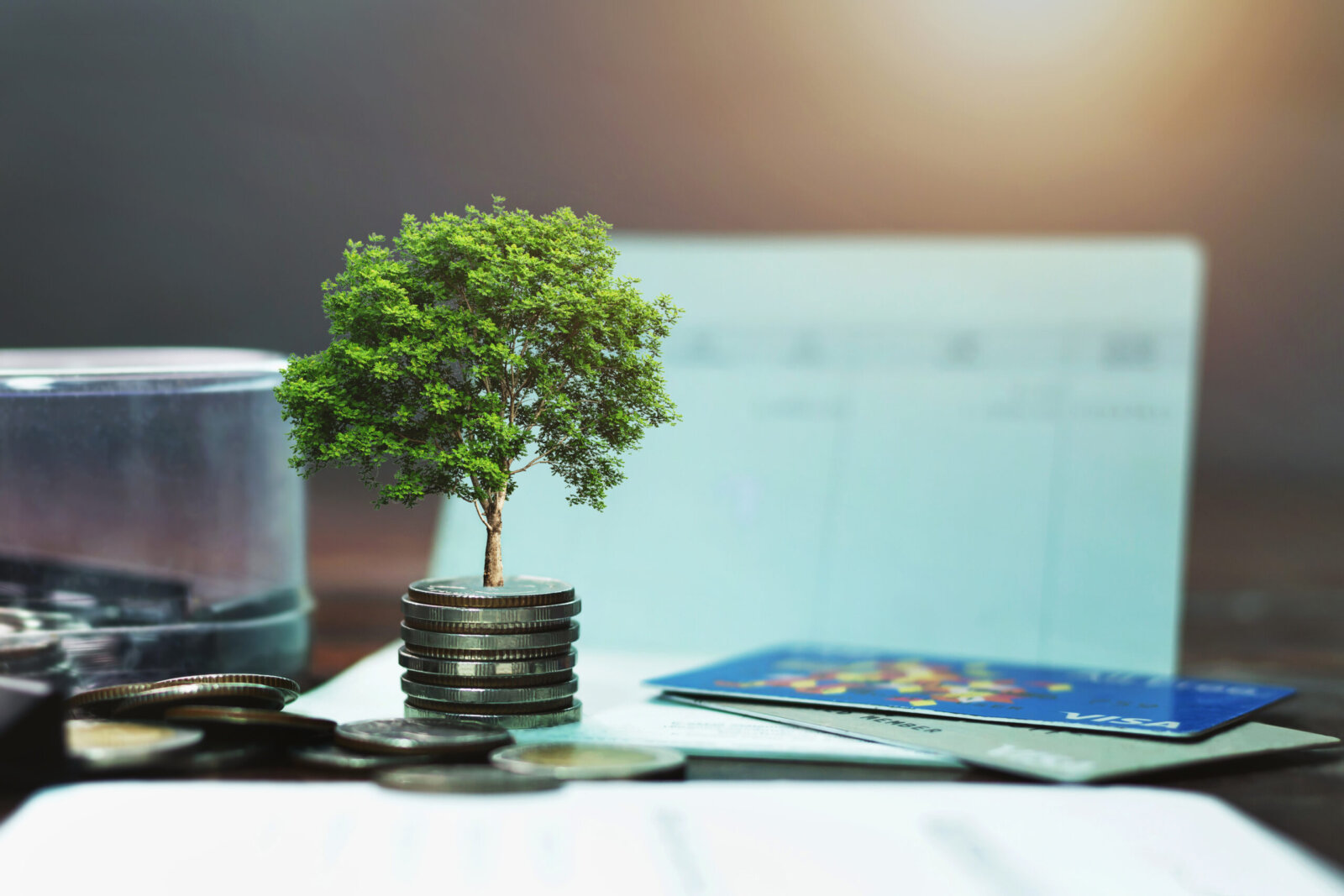 Investissement durable : comment investir de manière responsable et rentable