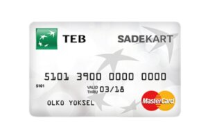 TEB Sade Kart Detaylı Rehber: Masrafsız Kredi Kartı Seçeneği